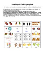 Spielregel-Bingo.pdf